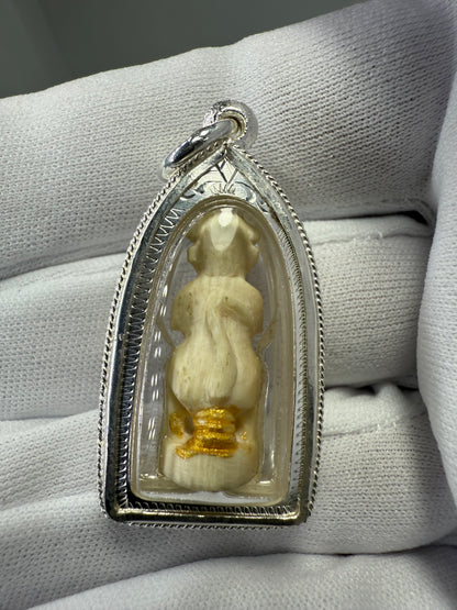 古巴博洋2545 牙質五眼四耳