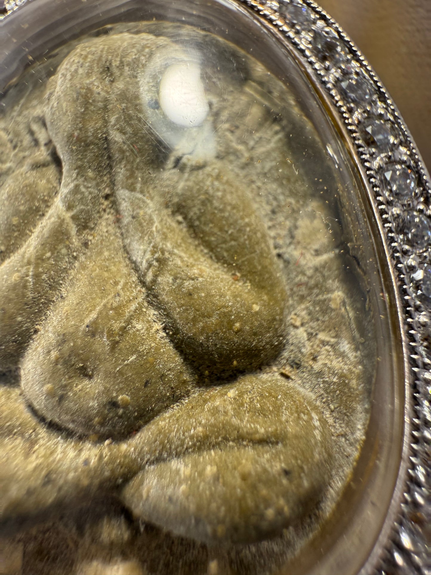 龍婆多 9銀必打 比賽獲獎