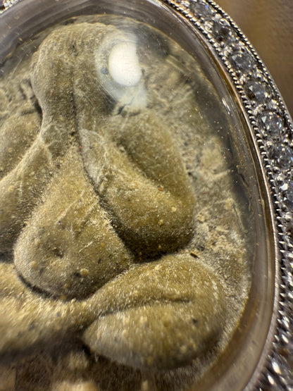 龍婆多 9銀必打 比賽獲獎