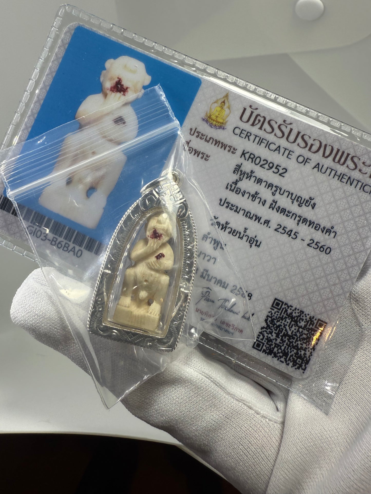 古巴博洋2545 牙質五眼四耳