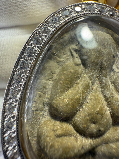 龍婆多 9銀必打 比賽獲獎